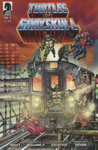 MASTERS OF UNIVERSE TMNT TURTLES OF GRAYSKULL #2 CVR C RUBIN  2  [DARK HORSE PRH]